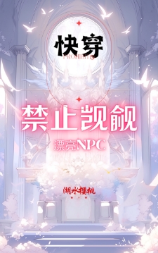 快穿：禁止觊觎漂亮npc