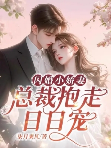 闪婚小娇妻，总裁抱走日日宠