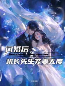 闪婚后，机长先生宠妻无度