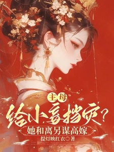 主母给小妾挡灾？她和离另谋高嫁